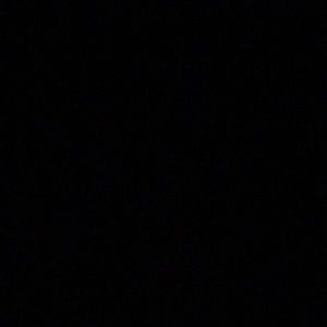 Meet your Posher, Sophia